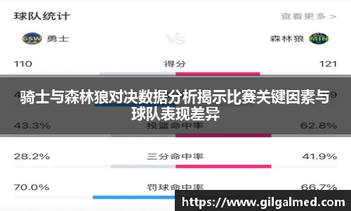骑士与森林狼对决数据分析揭示比赛关键因素与球队表现差异